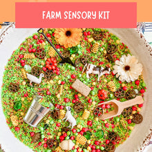 Load image into Gallery viewer, Farm Sensory Bin Kit
