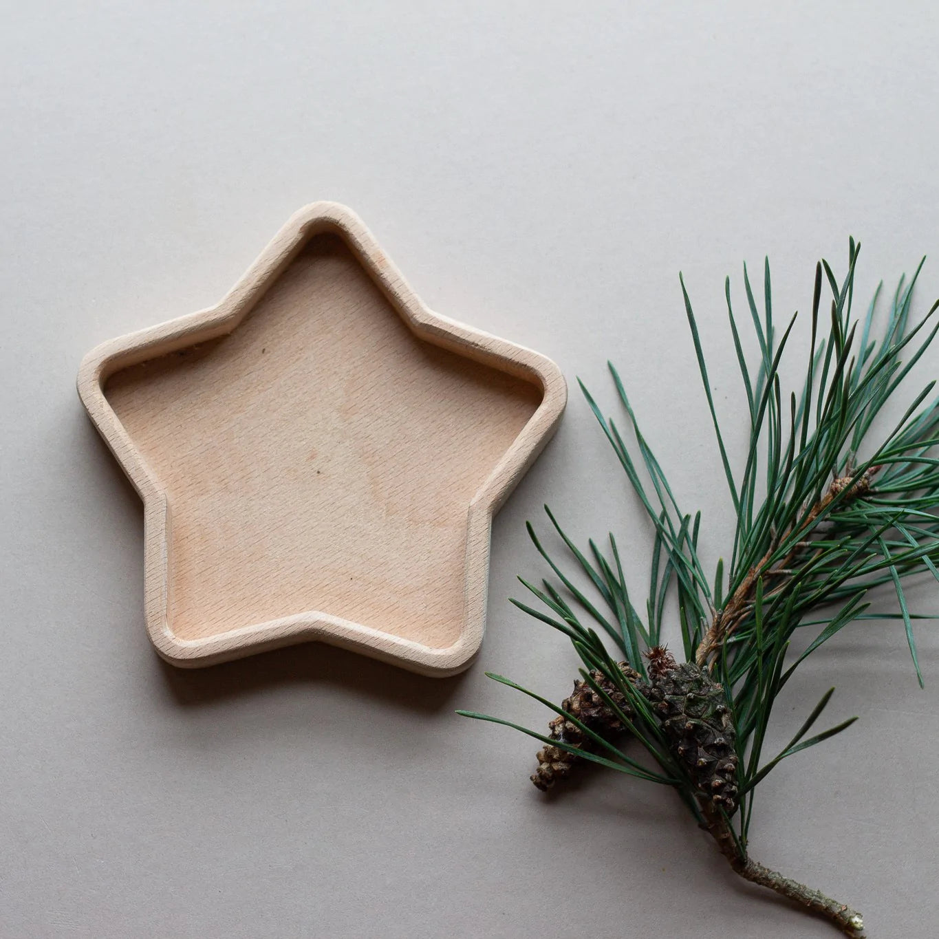 Ceramic Sorting Tray